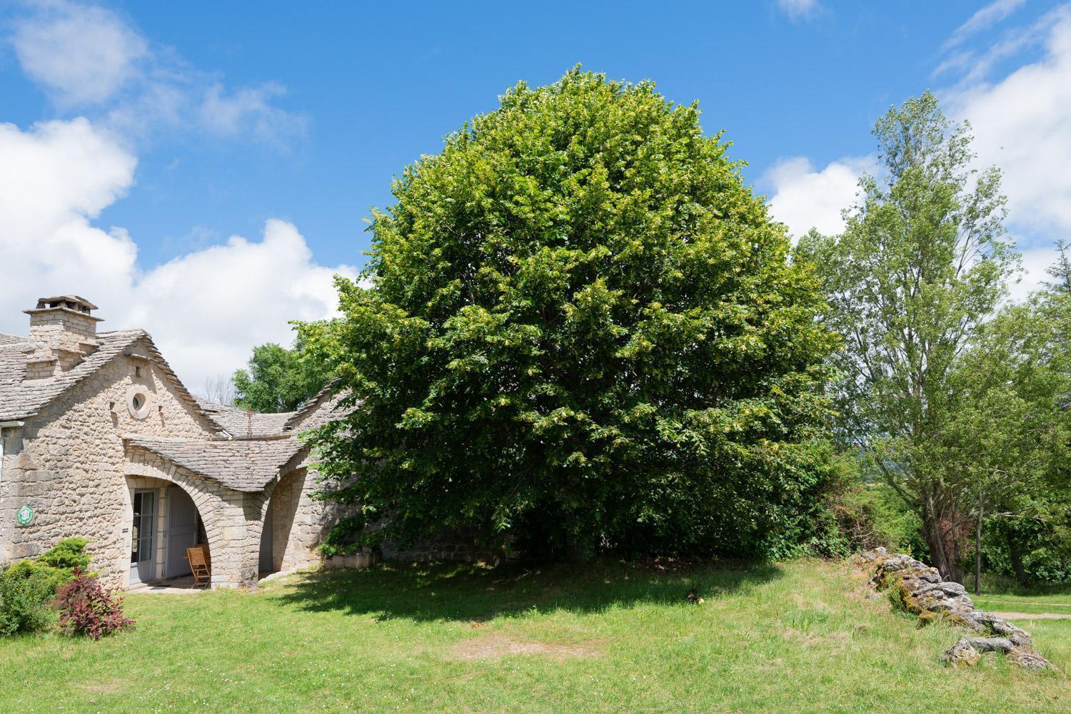 Gite Gite Le Paillon 2/4 Personnes Villa Saint-Pierre-des-Tripiers Exterior photo